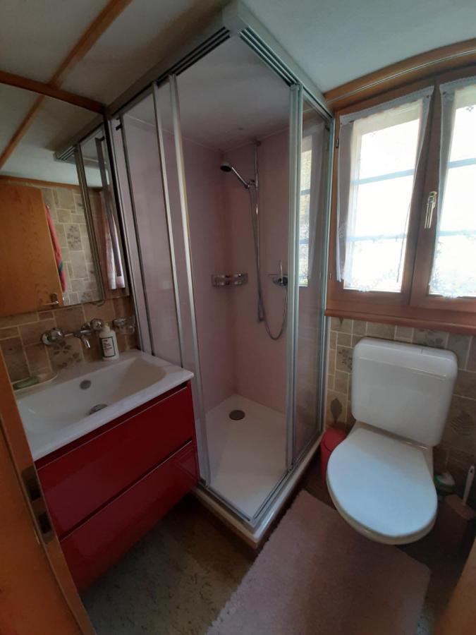 Chalet Am Fels Innertkirchen Eksteriør bilde